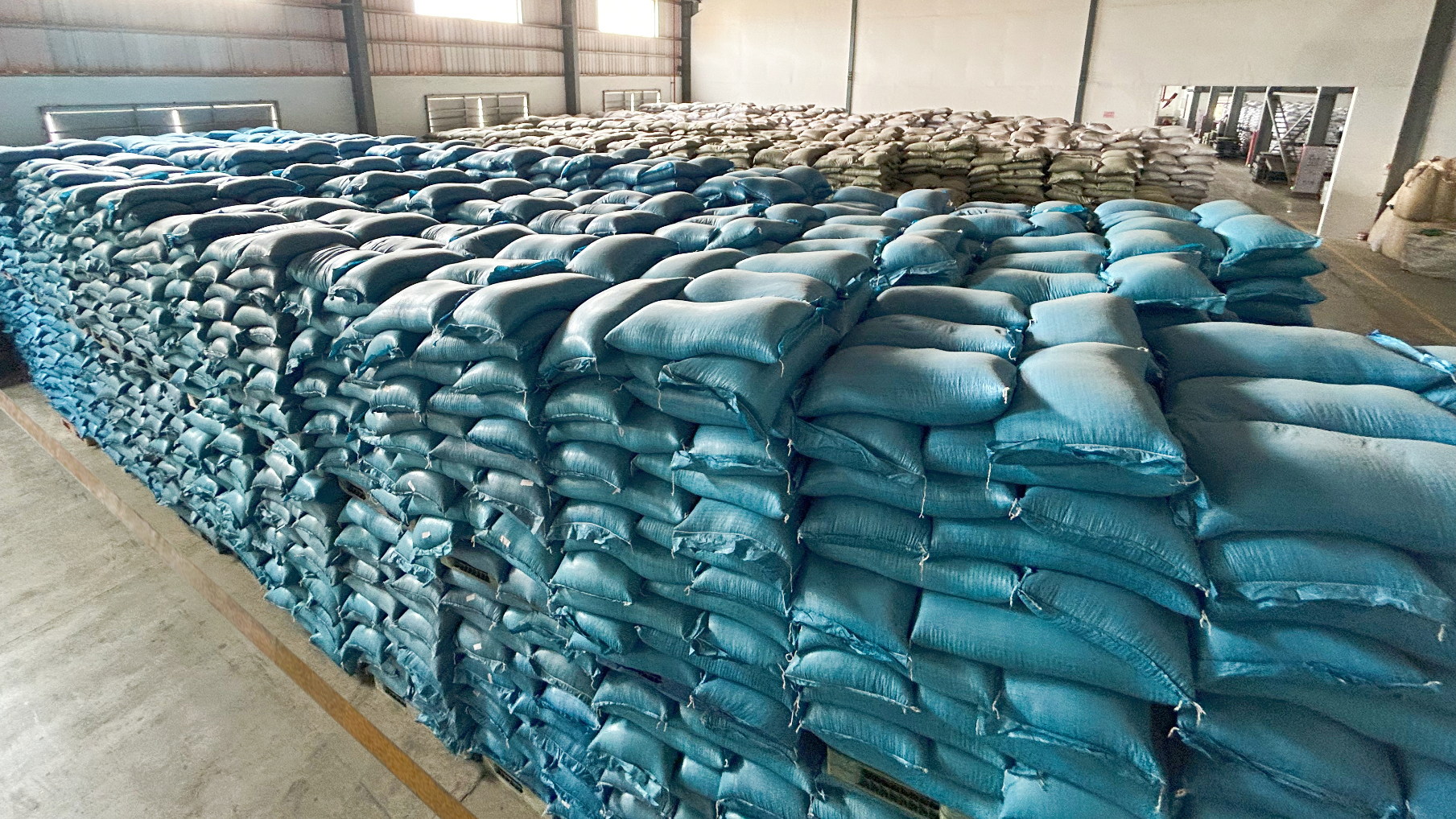 2023年改性塑料粒子行業洞察報告及未來五至十年預測分析報告